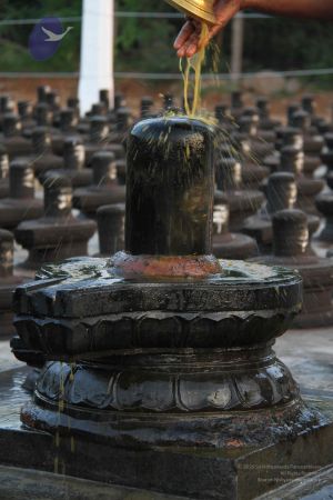 20110926 Photo 1093 1IJoVwTYnW3 dx0KB8ci Hhi-QzUDF9w2.JPG