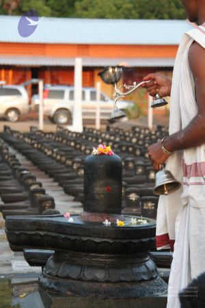 20110926 Photo 1094 1G1a8LAiNkHMHxyOed1L0PNMhC-E5LV7c.JPG