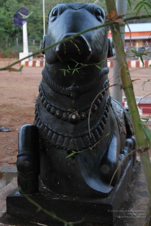 20110926 Photo 1096 1RURM1qkxracyi79rHZJ2-slMM4GP88h5.JPG