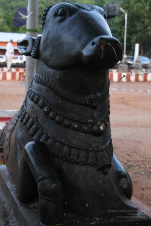 20110926 Photo 1097 1pivu0Gwg6Od14Qxb4d0uvHdQGQUqi6rk.JPG