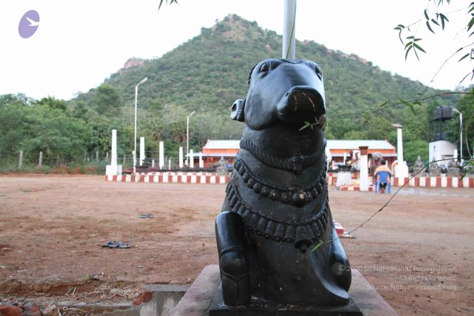 20110926 Photo 1099 11RmJVgcRvQ9-zRxyzn1l Uc5SMTtwCwf.JPG