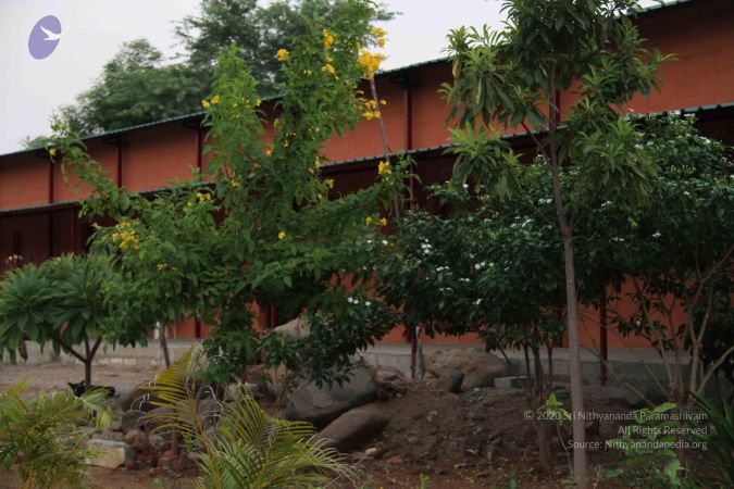 20110926 Photo 1114 1c5SYr0hgGVTPUcNuGTY4UcegQCnbfajB.JPG