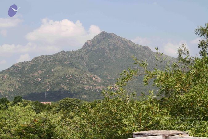 20110926 Photo 1197 1wiBjDFrkq-8oR76c-2u LOHB9crmN2A5.JPG