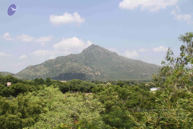 20110926 Photo 1199 1R wm7T1gMjuq- Zud02 XLVwUbxjR36A.JPG