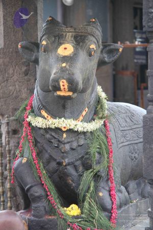 20110926 Photo 1214 1uiSfhHy1zSEQ0aLWcx1njHTJqoaOaHIM.JPG