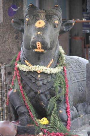 20110926 Photo 1216 1fJps9g-hJkpeALFNXp2ORpVX3VSPmV1Z.JPG