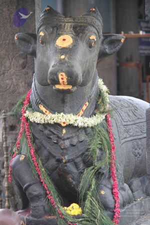 20110926 Photo 1217 1BEaFMRzlLnztun0TP5H5xNzk4kW8-mZO.JPG