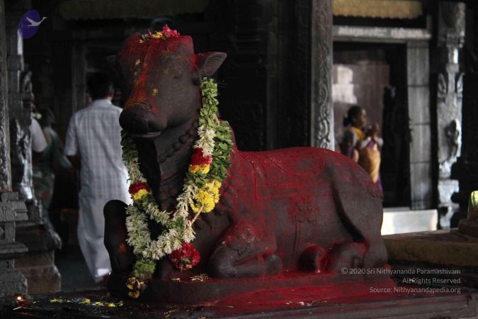 20110926 Photo 1221 1pFTiQu7SSYcZ7hqlw1cP JWFSJt8Hg6T.JPG