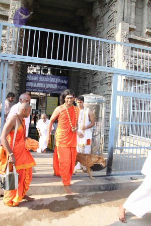 20110926 Photo 1263 1E8XJVILWUqJiEA9Etma7ADNgdf6tuXaX.JPG