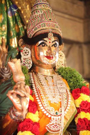 20110927 Photo 1008 1x6XGz0anz875ZXC z G6xacwj0uZ1StN.JPG