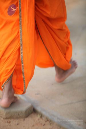 20110927 Photo 1039 15E34c7UCFWcNAr3gHw56VDWKmlAH hIK.JPG