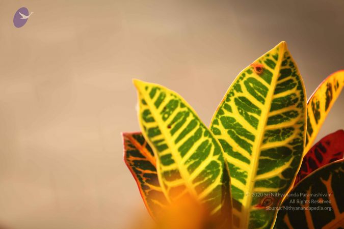 20110927 Photo 1089 1PYKsD5LunsQJK185ZNe-pLnYZRMrybBA.JPG