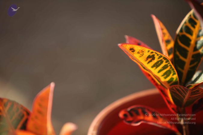 20110927 Photo 1091 1QTtx4FrkbbOp0hfw0GVOU b90W4ENYlx.JPG