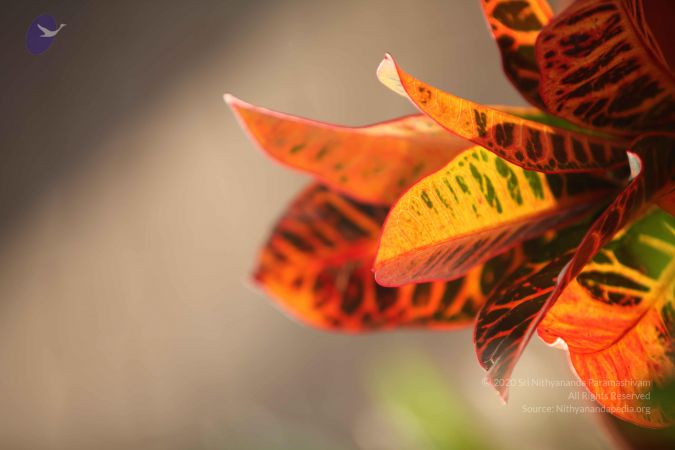 20110927 Photo 1092 1s8GhefC6V-FkujLGahTMB2IavDbCc8wu.JPG