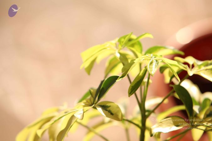 20110927 Photo 1094 10wY1ksTazAJIWO9h7NGl1-O0nhcuA-zb.JPG