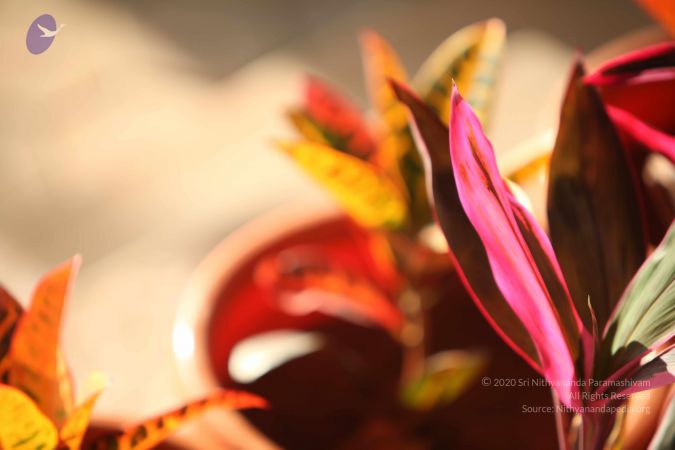 20110927 Photo 1096 1CguB7G8osD4UzgTKRYckiMyAd1PWRkGx.JPG