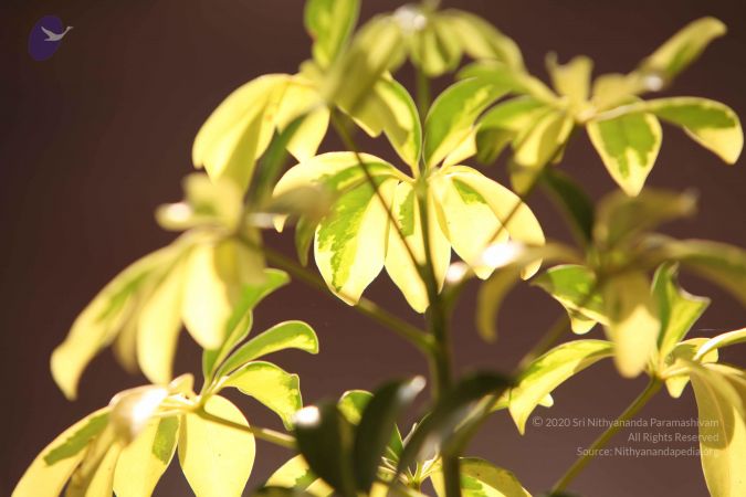 20110927 Photo 1099 15pp6ys7HM4O TauC8p2yPv8OryrroDGX.JPG