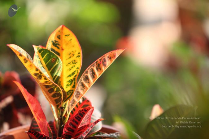 20110927 Photo 1101 1o7HJBLkjhGYTBOs73x3P25QxoDUj25Id.JPG