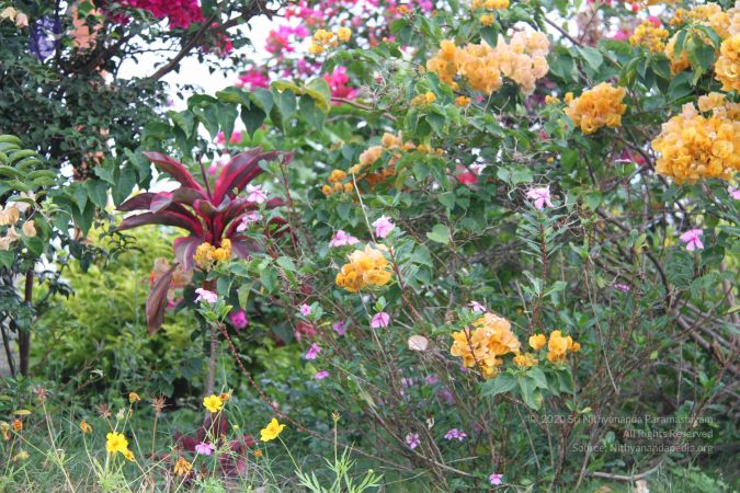 20110928 Photo 1002 1jDJahvFa7BiN5 3WVLIWBpemByiQbxmz.JPG