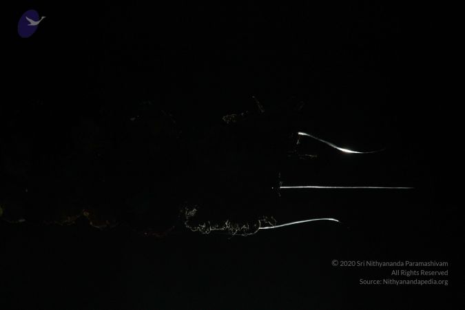 20110928 Photo 1014 1QIMWNkrB5rSmqXqZKrpVdFLJmaPNGv1E.JPG