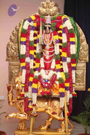 20110928 Photo 1039 1boLeDtOTyoXb1nNh-8-xE4XCXziME gK.JPG