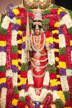 20110928 Photo 1040 1rcy5Ew ijn3hvVjuIgfV1B1--ZtAdP77.JPG