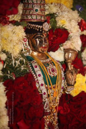 20111001 Photo 1009 1x5BqT5c5hjzzGm6KTfROW8LgrllB6Tut.JPG