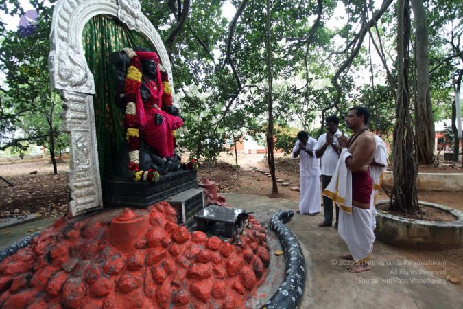 20111001 Photo 1045 19Xyw7LDn85NA0uD6HGejTMXSoMbbbbZj.JPG