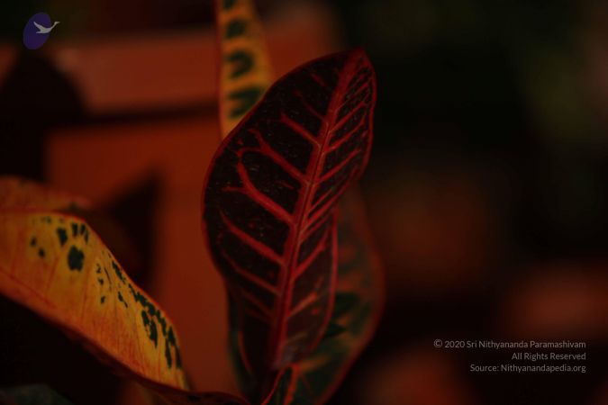 20111001 Photo 1271 1qoiXCInHf9mTEiBNjm08ARGyqD3fad v.JPG