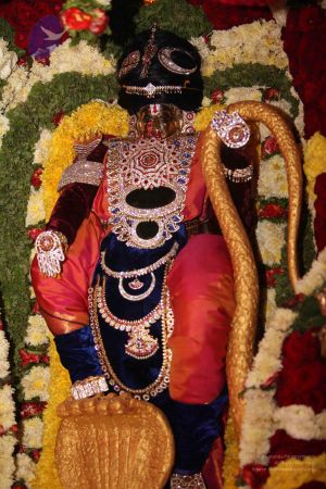 20111001 Photo 1284 1m7mXb3Fp3wFr7uJ2wT7G2mkW3lff6kJR.JPG