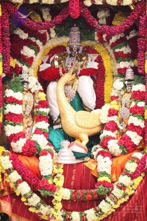 20111002 Photo 1005 1TXKJsXEFk3MBYHyGNiefMNpCtEV7CxvQ.JPG