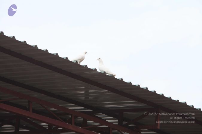 20111002 Photo 1032 1QMfyVzvZpUArnfyRHGG0SGgq6iNOeZOF.JPG