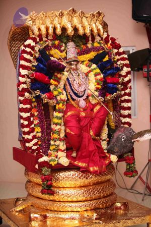 20111005 Photo 1495 1gNgrPZhJ660u95 Go0SN7SlHDqdco67V.JPG