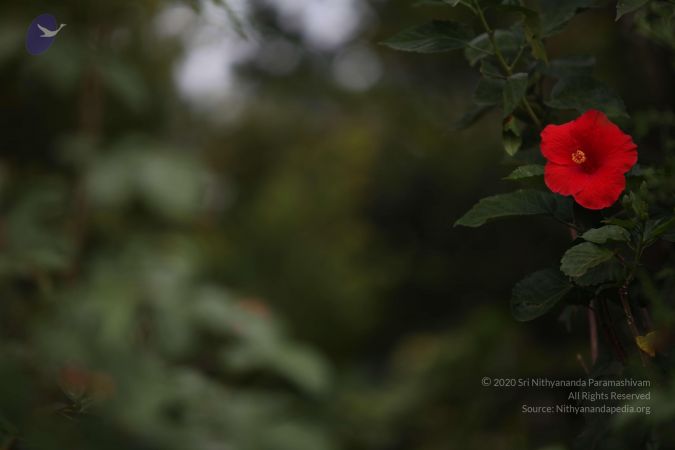 20111006 Photo 1130 12W08uFDoI6A dq3ydBUMk-rivw7IWgbR.JPG