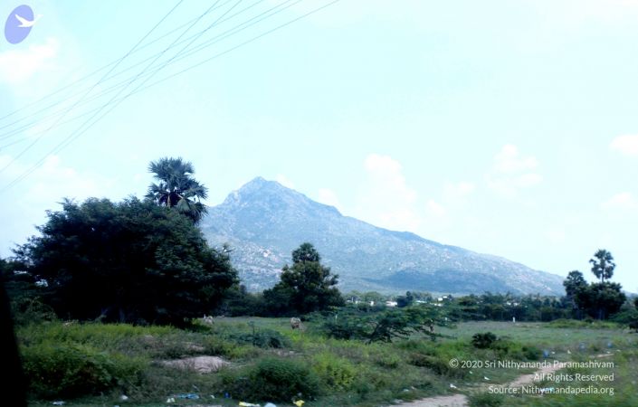 20111008 Photo 1037 1YZWJcATGOR8vGU5h69N8z1W7TJo 2NvF.JPG