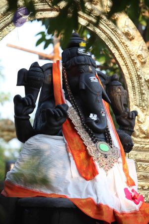 20111009 Photo 1028 1WFQg92Kbs4iBrkYu2atQkzFv8u27vTIg.JPG