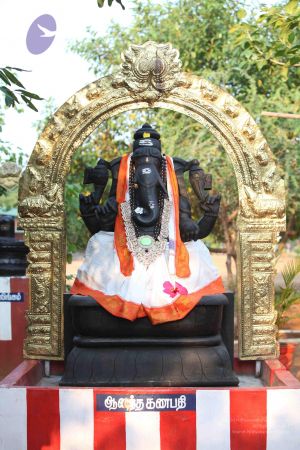 20111009 Photo 1030 1Wqg6rUgBZ6Yo8R-zK0IvDocWHiQ7rA2R.JPG