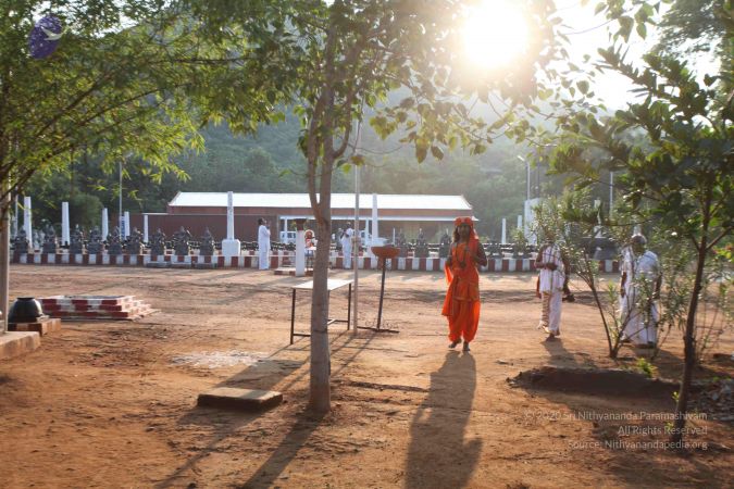 20111009 Photo 1046 1-nXofCteQyGEO5dNkEb5paY4lISGPMWB.JPG