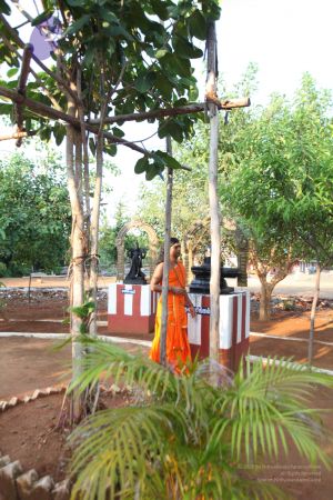 20111009 Photo 1054 1YWTXK0LeNVSOAr4 CAo9nafI-RgerUHB.JPG