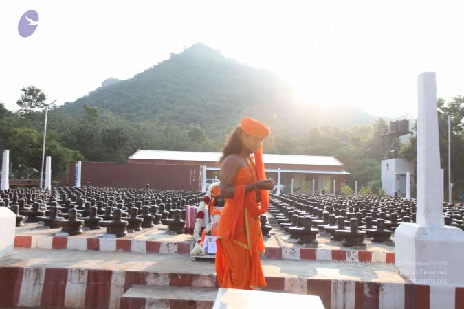 20111009 Photo 1061 1IMDxpleBgXloqhocMpMrW6dBNk7sj0qd.JPG