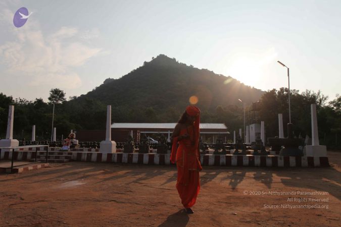 20111009 Photo 1062 1W2gVKbSDt-jmMLes7czlLvjt8wqvWSIl.JPG