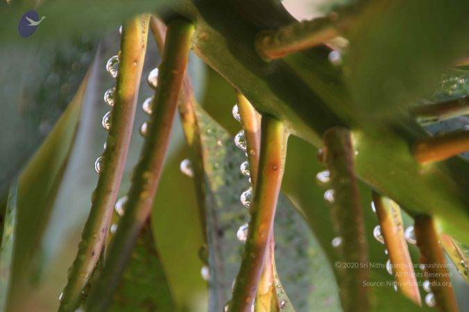 20111009 Photo 1068 1MdT5W6iDsEJS5dFCGAS8nH-9GIHiHulC.JPG