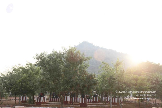 20111009 Photo 1069 1M6gjiRYoxHkgvm70Hbi VE1TQsl1gS9Y.JPG