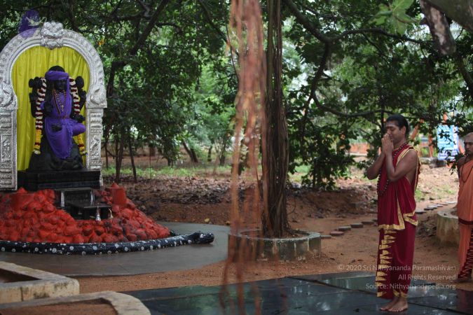 20111013 Photo 1026 1couDiTJlIptJgfv7uqtxz6UR-x7wUVHJ.JPG