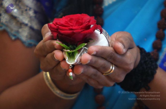 20111015 Photo 1041 15xwZoPAedk2U1yO0i9kTRXyH1Nms4MqJ.JPG