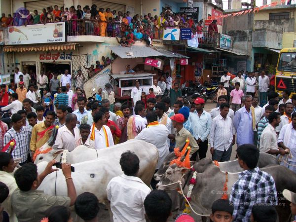 20111015 Photo 1228 1p8haF-X42FtDp6Csmuf8Ncx ra427dwc.JPG