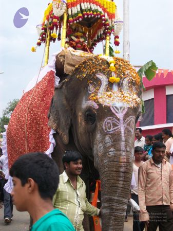 20111015 Photo 1245 18cLbIP6-dx28vgcNs2pVL6CWRXtn-PVk.JPG