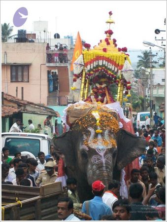 20111015 Photo 1278 1BtbaALFLmbNmoH6bzp5dK7Ul GK1p3l8.JPG