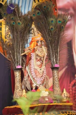 20111017 Photo 1129 1sRKWHtOn3EPAstNj03zNebdtj3JFhvyM.JPG