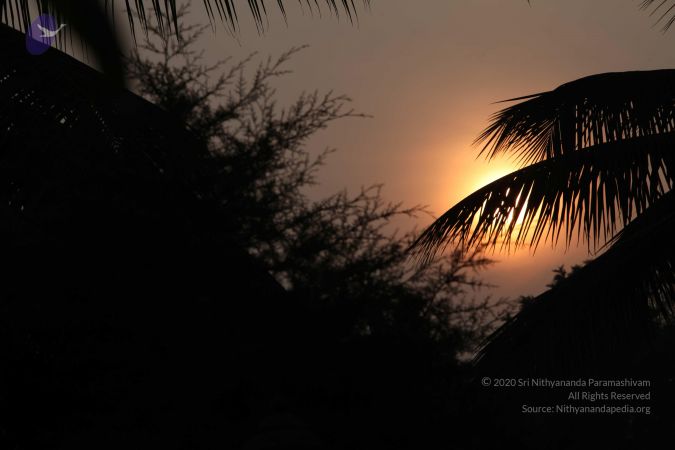 20111018 Photo 1096 19z71BYcic 8vGnzZ56BSTYcxNq19-Gul.JPG